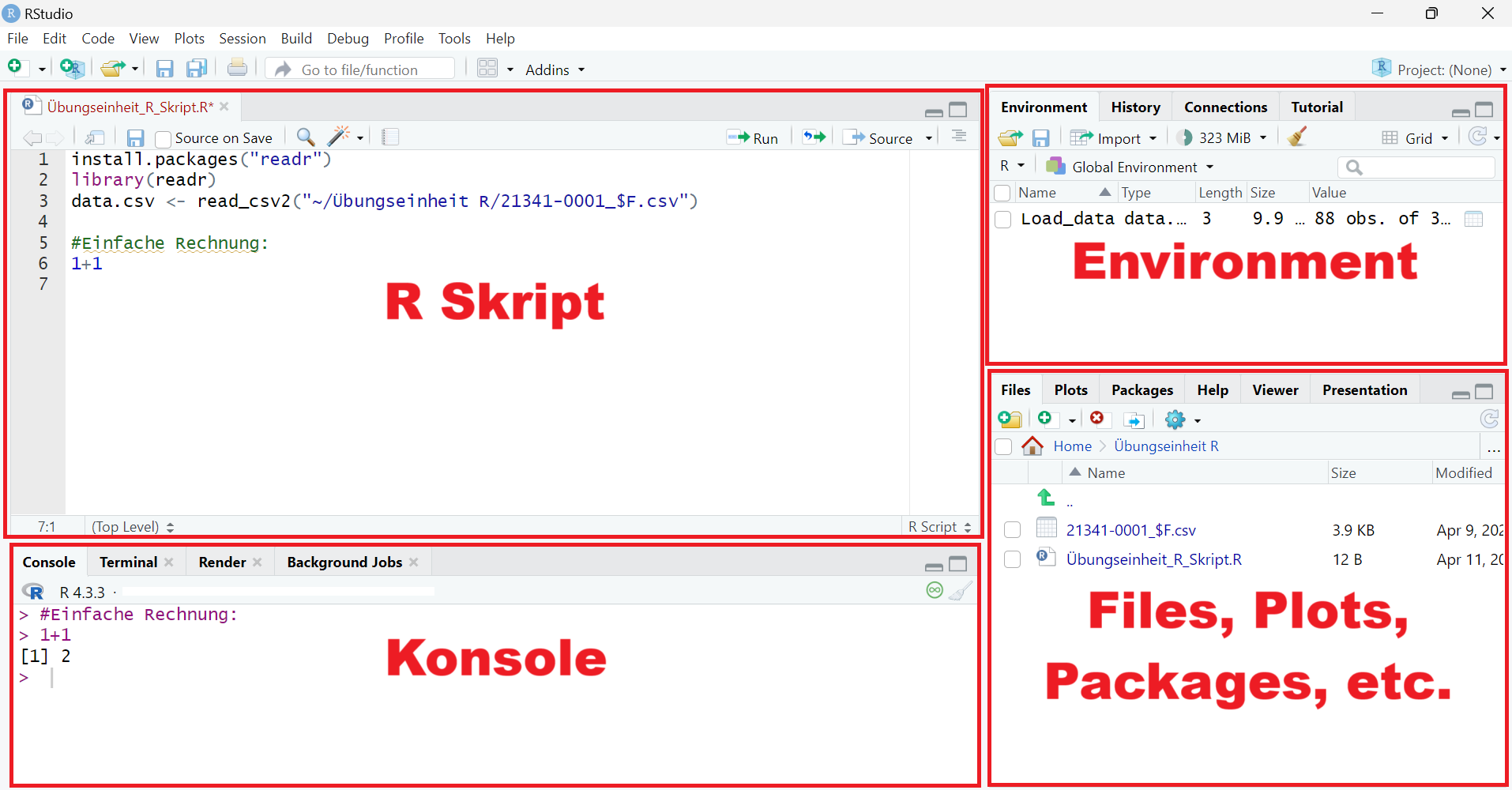 Ein Screenshot, der das Interface von R-Studio zeigt.