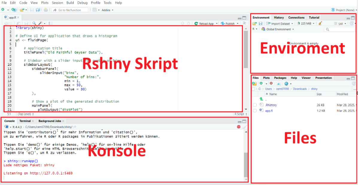 Ein Screenshot, der das Interface von R-Studio zeigt.